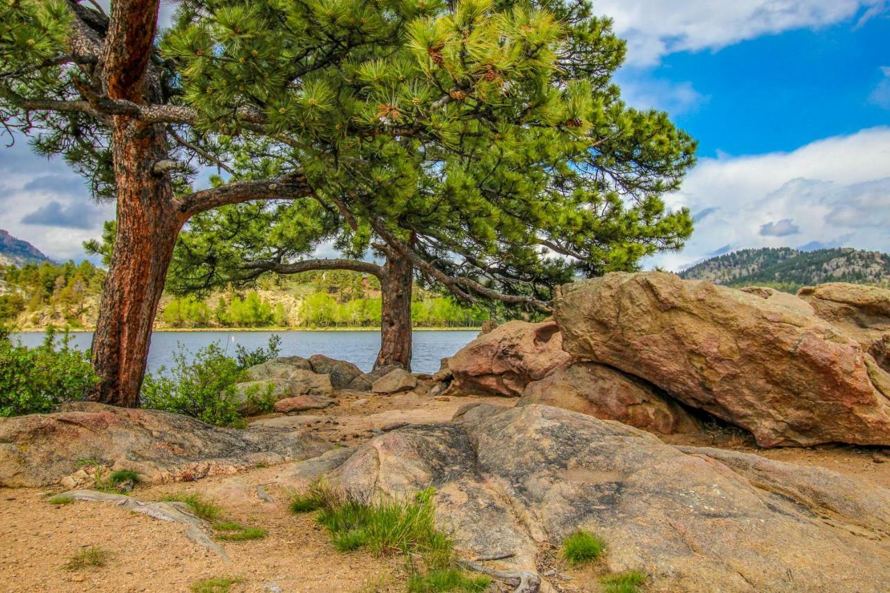 Apartament Quiet In The Pines - Permit #3120 Estes Park Zewnętrze zdjęcie